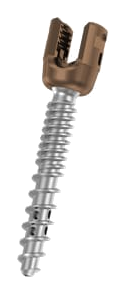 CHARSPINE2 MIS