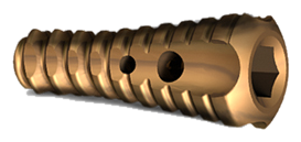 Cannulated Subtalar Screw
